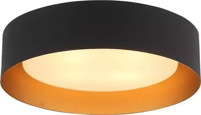 Потолочный светильник ST Luce ST-Luce SL392.422.04