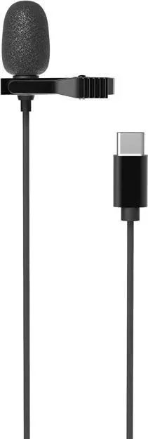 Микрофон RITMIX RCM-210 Black