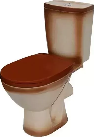 Унитаз компакт Rosa Унитаз- Соло с сиденьем, коричневый (4640021065785)