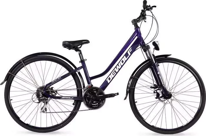 Велосипед DEWOLF ASPHALT 20 W chameleon purple/white/grey 14 20 W 14