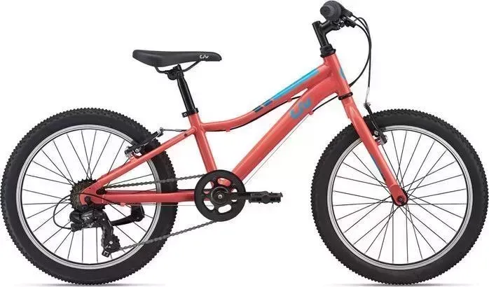 Велосипед Giant Enchant 20 Lite (2021) оранжевый