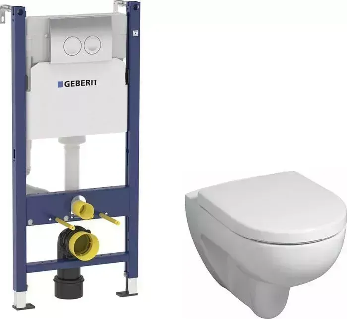 Комплект унитаза с инсталляцией Geberit Renova Rimfree с , безободковый (203050000, 573025000, 458.124.21.1)