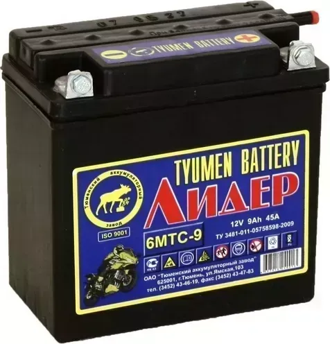 Аккумулятор ТЮМЕНЬ TYUMEN BATTERY Лидер 6МТС-9 болт