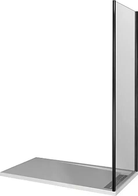 Боковая стенка Good Door Walk-In SP+P 100х195 прозрачное, черный (SP+P-100-C-B)