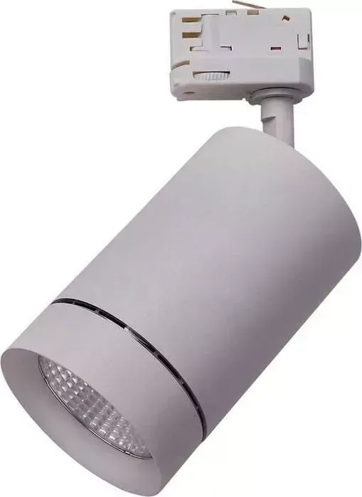 Трековый светодиодный светильник Lightstar 303592