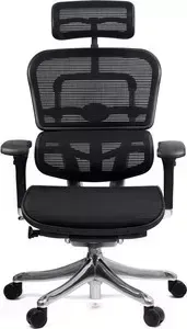Кресло офисное Comfort Seating Group эргономичное Ergohuman plus black 3D ERGOHUMAN PLUS BLACK 3D