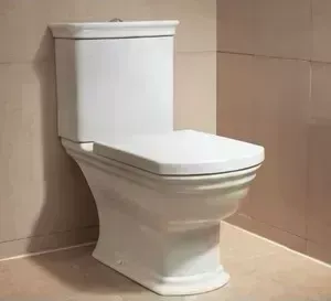 Унитаз компакт VITRA Serenada напольный с бидеткой, сидение плавное закрывание (9722B003-7205)