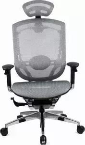 Кресло офисное GTChair эргономичное GT07-35D IW-12 Marrit white (chromed frame)