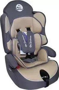 Автокресло MR SANDMAN Little Passenger Isofix 9-36 кг Серый/Бежевый (AMSLPI-0525KRES1039)