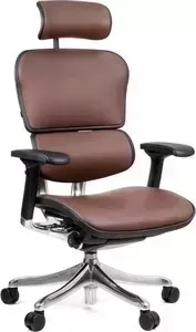 Кресло офисное Comfort Seating Group эргономичное EHPE-AB-HAL LE8213 leather ergohuman plus elite brown