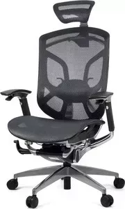 Кресло офисное GTChair эргономичное DV-10E GT-12 Dvary black (polished frame)