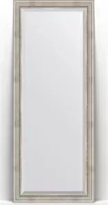 Зеркало Evoform с Exclusive Floor 81x201 см, в багетной раме - римское серебро 88 мм (BY 6118)