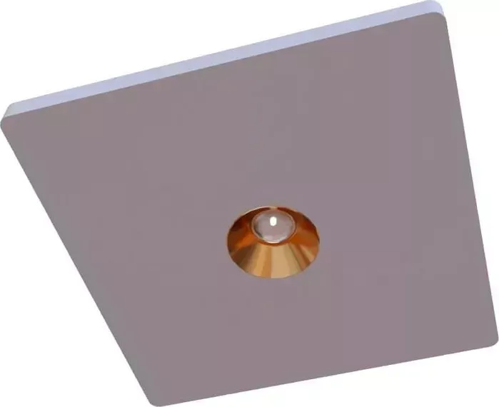 Светильник Loft IT Потолочный светодиодный Architect OL1072-WG/1