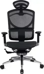 Кресло офисное GTChair эргономичное SE-13D GT-12 I-See black (chromed frame)