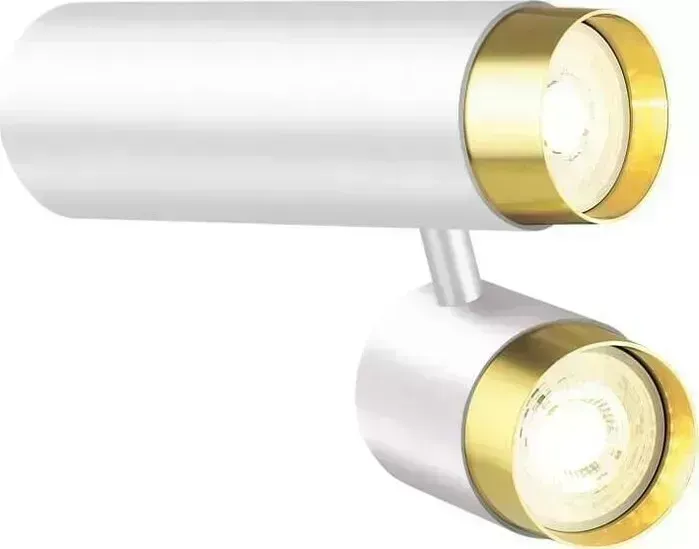 Спот Lumien Hall Саурис LH8020/2C-WT-GD