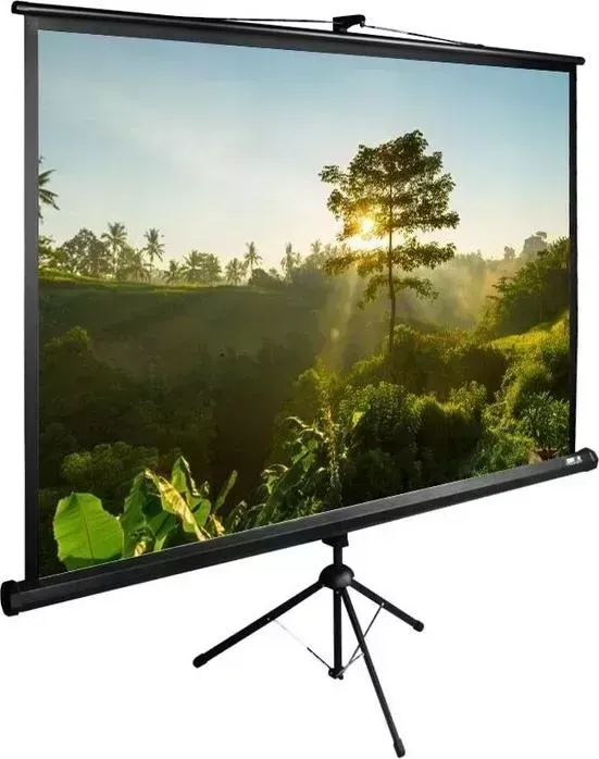 Экран CACTUS 200x200 см TriExpert CS-PSTE-200x200-BK (CS-PSTE-200X200-BK)