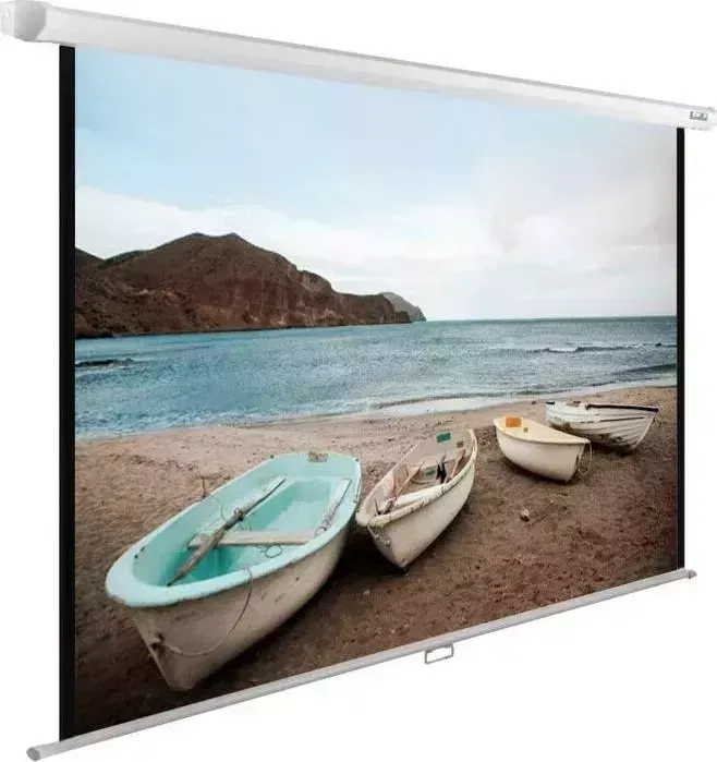 Экран CACTUS 138x220 см WallExpert CS-PSWE-220x138-WT (CS-PSWE-220X138-WT)