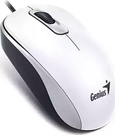 Мышь проводная GENIUS DX-120 ( Cable, Optical, 1000 DPI, 3bts, USB ) White (31010010401)