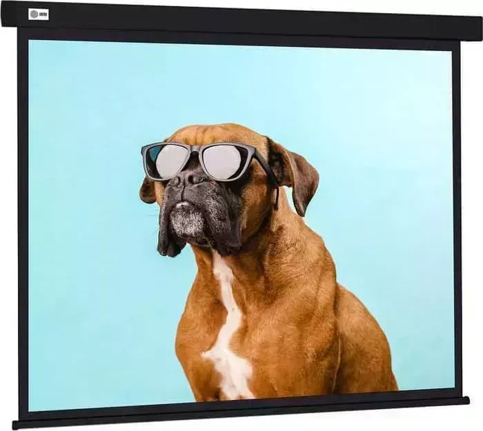 Экран для проектора CACTUS 183x244 см Wallscreen CS-PSW-183X244-BK 4:3 настенно-потолочный рулонный черный