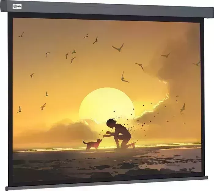 Экран для проектора CACTUS 124.5x221 см Wallscreen CS-PSW-124X221-SG 16:9 настенно-потолочный рулонный серый