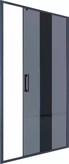 Душевая дверь Alex Baitler 110х200 тонированное, черный (AB64B110)