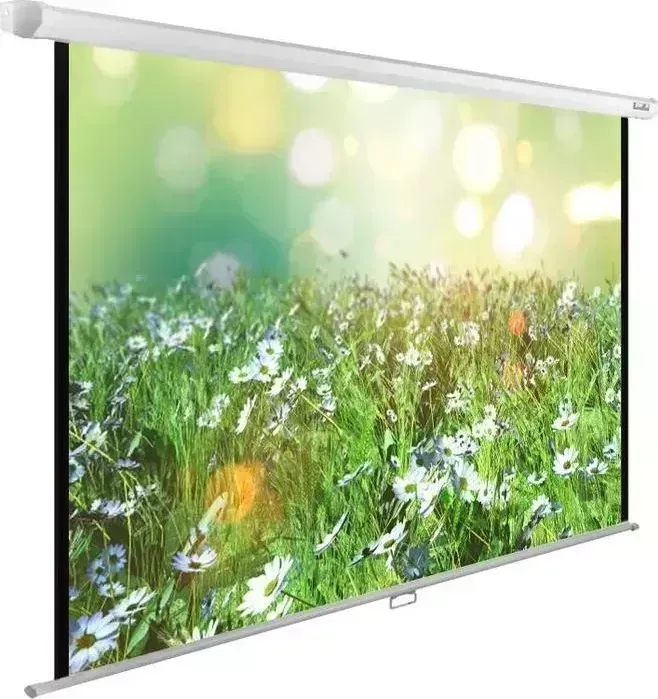 Экран CACTUS 200x200 см WallExpert CS-PSWE-200x200-WT (CS-PSWE-200X200-WT)
