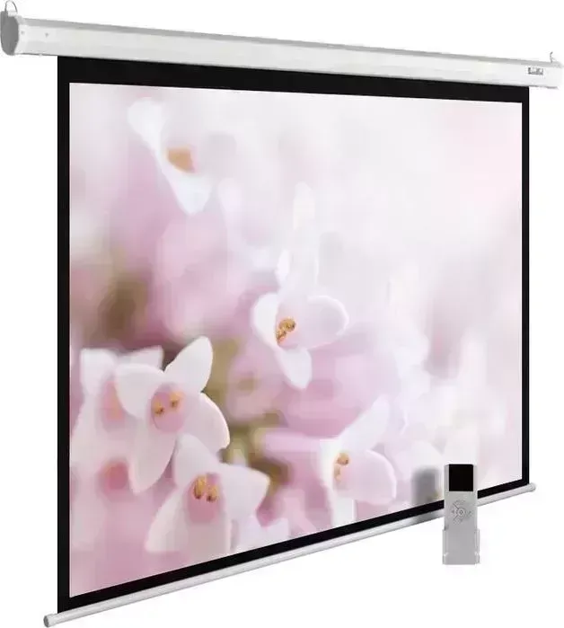 Экран для проектора CACTUS 240x240 см MotoExpert CS-PSME-240x240-WT 1:1 настенно-потолочный рулонный белый (моторизованный привод)