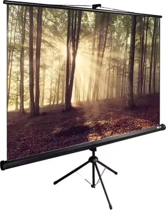 Экран для проектора CACTUS 135x180 см TriExpert CS-PSTE-180x135-BK 4:3 напольный рулонный черный