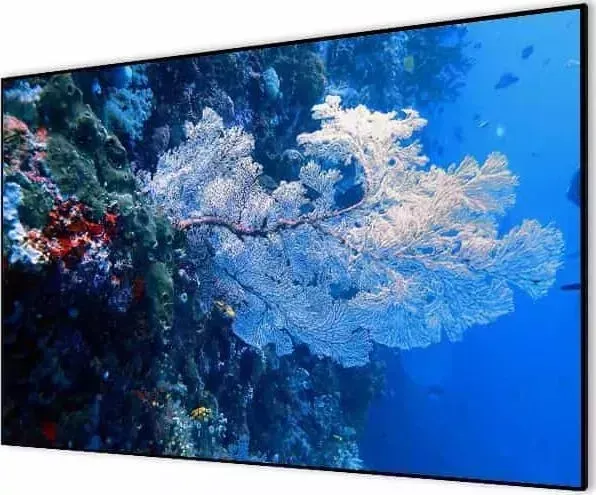 Экран для проектора CACTUS 151x267 см Alr Expert CS-PSALR-267X151 16:9 настенный натяжной