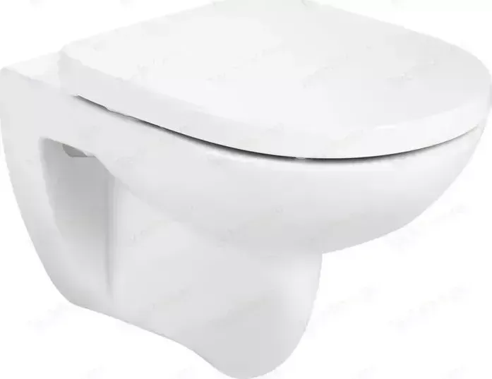 Унитаз подвесной ROCA Debba Round с микролифтом, белый (346998000, 801B2200B)
