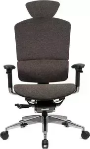 Кресло офисное GTChair эргономичное SE-13D LP-02 I-See brown (chromed frame)