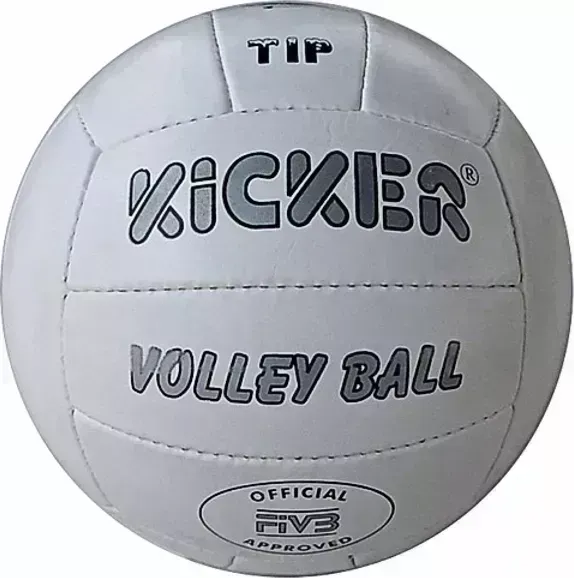 Мяч LARSEN Kicker Tip Волейбольный