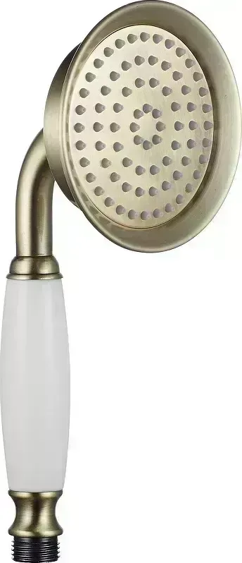 Душевая лейка Esko SSP950Br