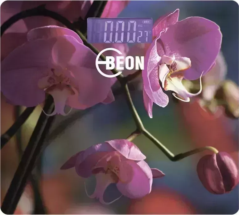 Напольные весы BEON BN-1101