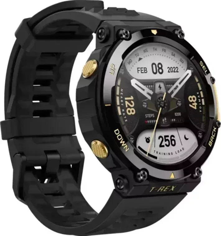 Умные часы Amazfit T-Rex 2 1.39 черный/золотистый (A2170)