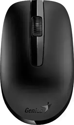 Мышь компьютерная GENIUS NX-7007 black USB