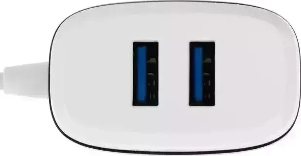 Сетевое зарядное устройство RITMIX RM-2082C