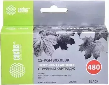 Расходный материал для печати CACTUS CS-PGI480XXLBK черный
