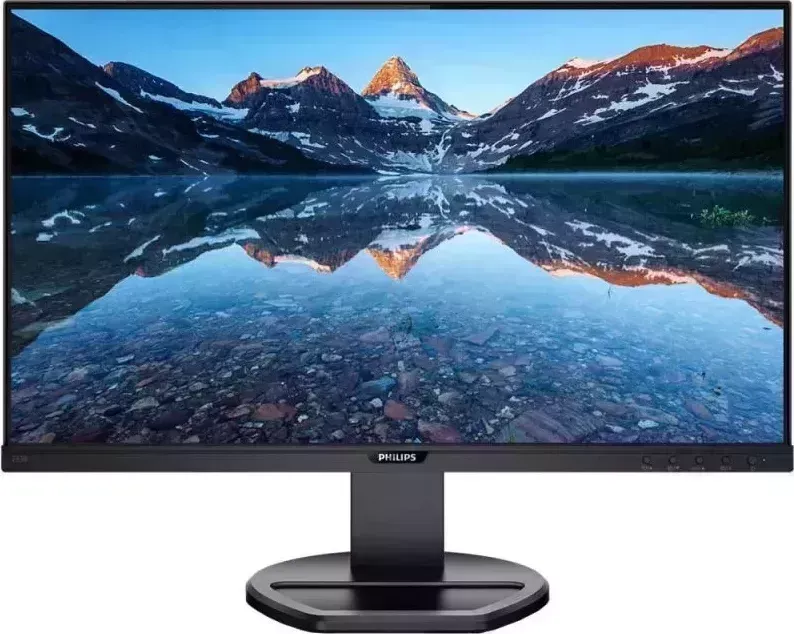 Монитор PHILIPS 243B9 (00/01)