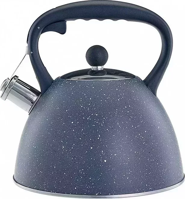 Чайник для плиты Alpenkok AK-534