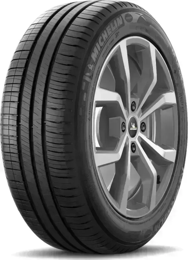 Шина MICHELIN EN XM2+ 175/70/R13 82 T