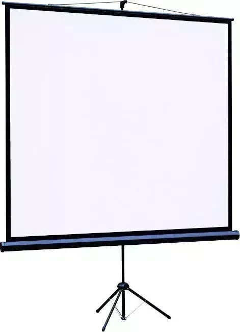 Экран для проектора Lumien Eco View LEV-100107 (180x180 / 1\1 / напольный / matte white)