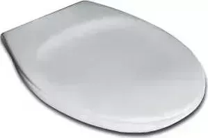 Пластиковые шарниры Ideal Standard Ecco для сидения (W300601)
