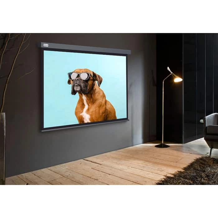 Фото №0 Экран для проектора CACTUS 149.4x265.7 см Wallscreen CS-PSW-149X265-SG 16:9 настенно-потолочный рулонный серый