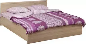 Кровать Олимп двойная с откидным механизмом 21.54 дуб сонома 180x200