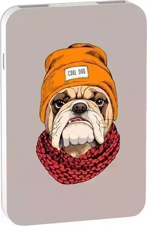 Внешний аккумулятор Ritmix RPB-10007 Bulldog
