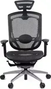 Кресло офисное GTChair эргономичное GT07-35X GT-11 Marrit black (polished frame)