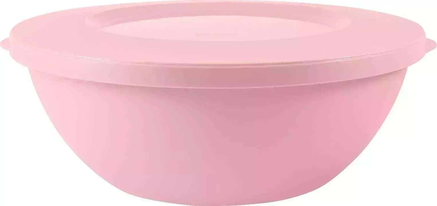 Миска PLAST TEAM PT107511579 3л 284х264х103 Весенняя нежность