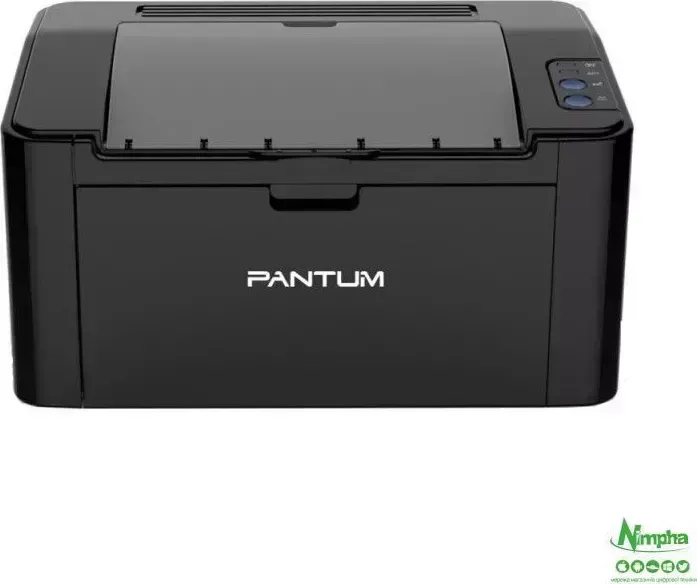 Принтер PANTUM P2500