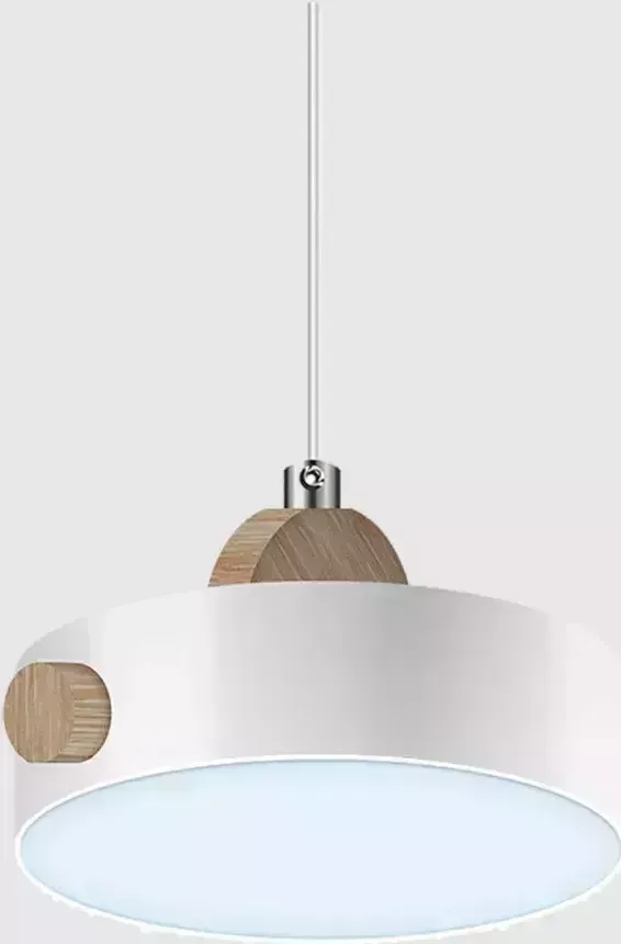 Люстра RITTER 52077 1 сд диммируемая Scandia хайтек 14 Вт, белая, REV